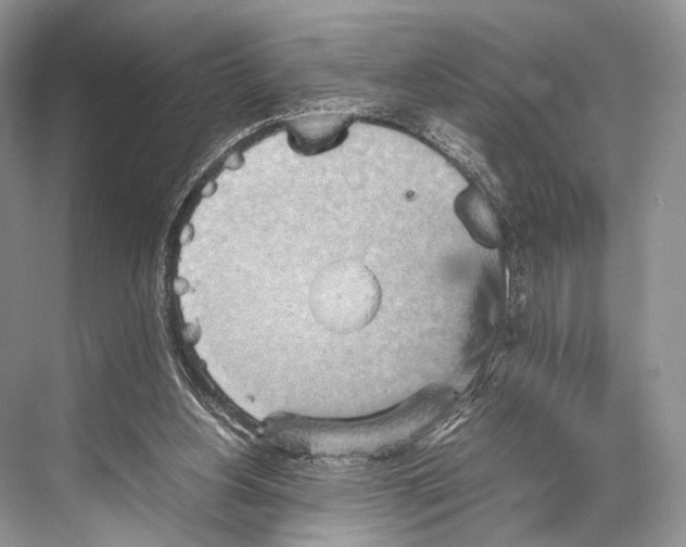 X0000067850156200605041724