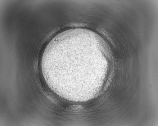 X0000067850159200605041724