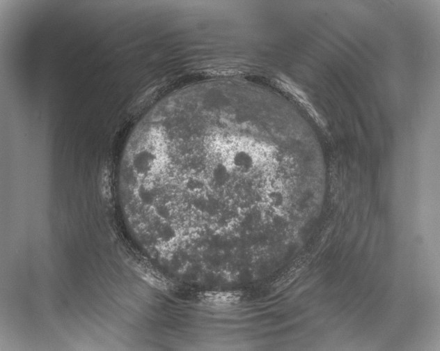 X0000067850161200605041724