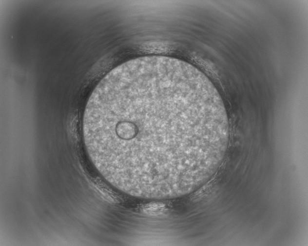 X0000067850162200605041724