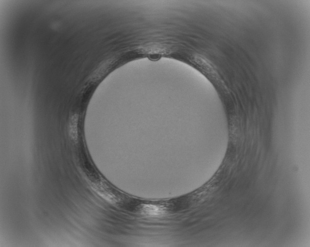 X0000067850167200605041724