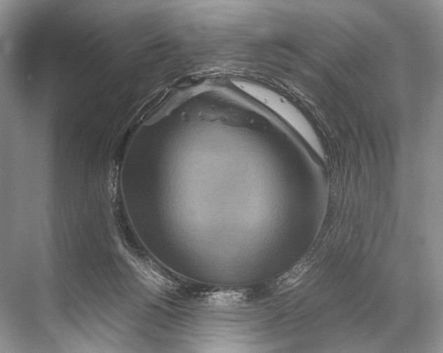 X0000067850168200605041724