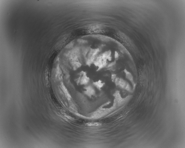 X0000067850169200605041725