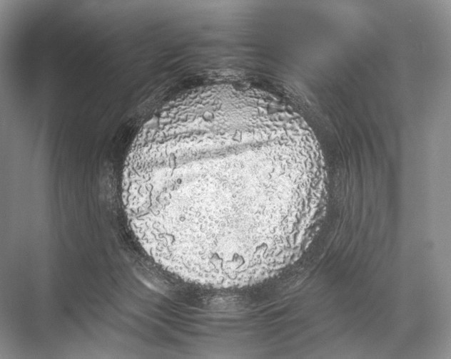 X0000067850173200605041725