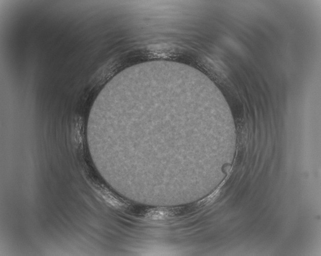 X0000067850174200605041725