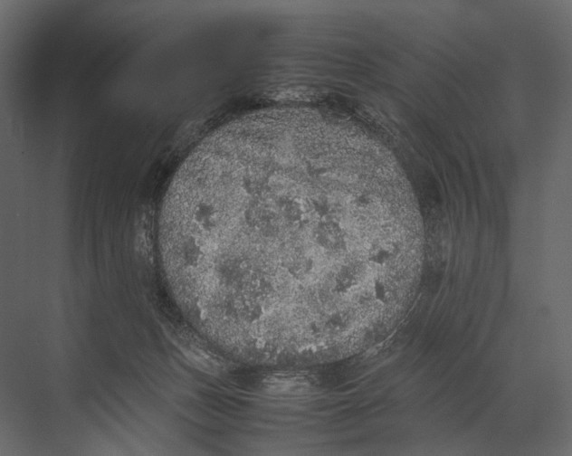 X0000067850175200605041725