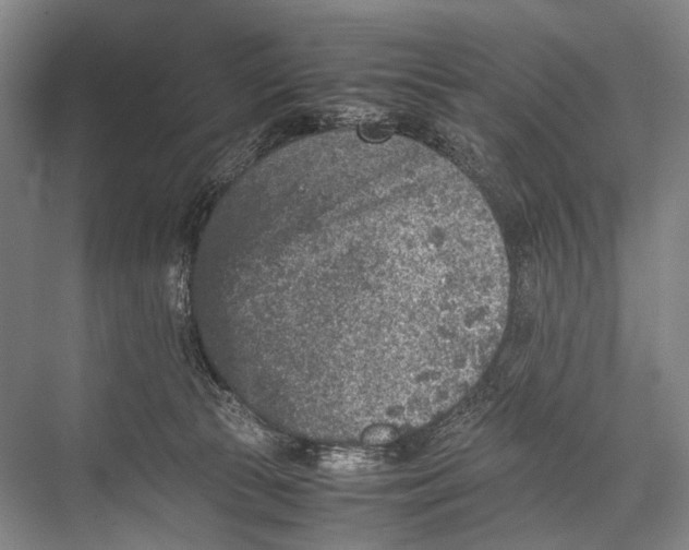 X0000067850177200605041725