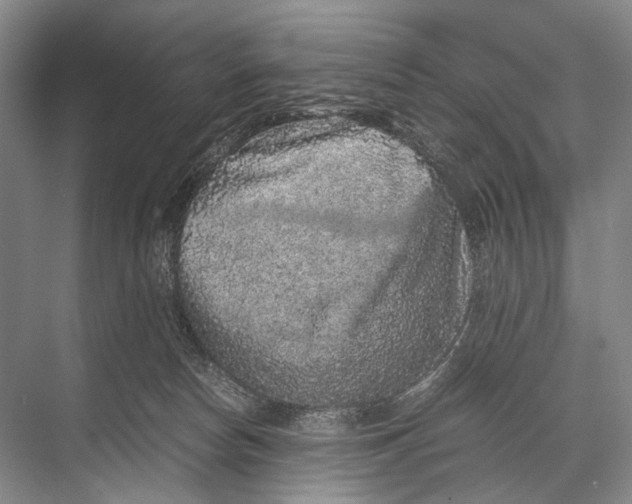 X0000067850178200605041725