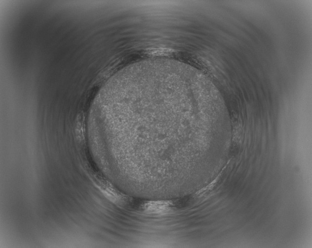 X0000067850179200605041725