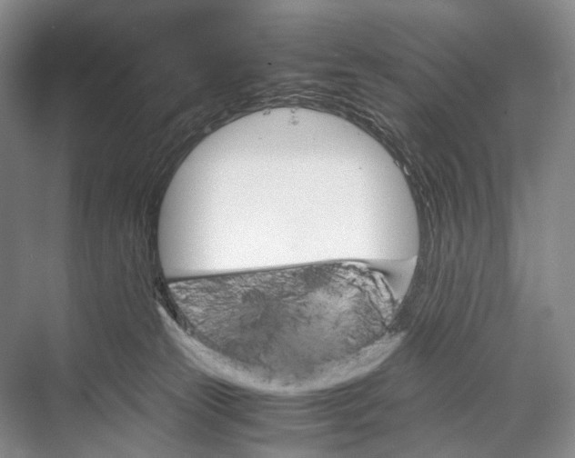 X0000067850181200605041725