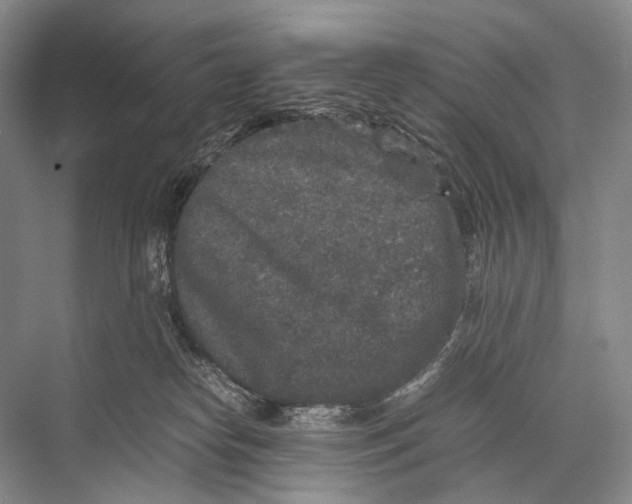 X0000067850182200605041725