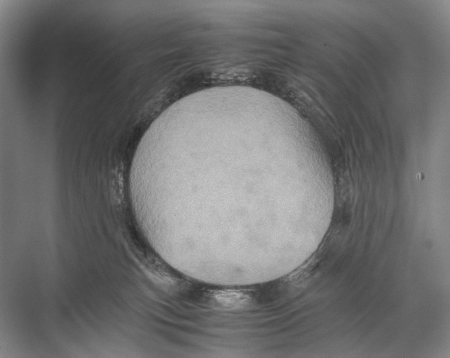 X0000067850183200605041725