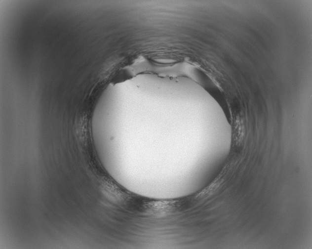 X0000067850184200605041725