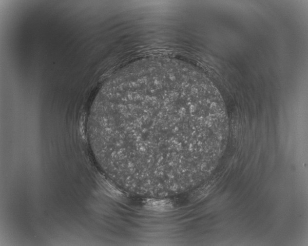 X0000067850185200605041725