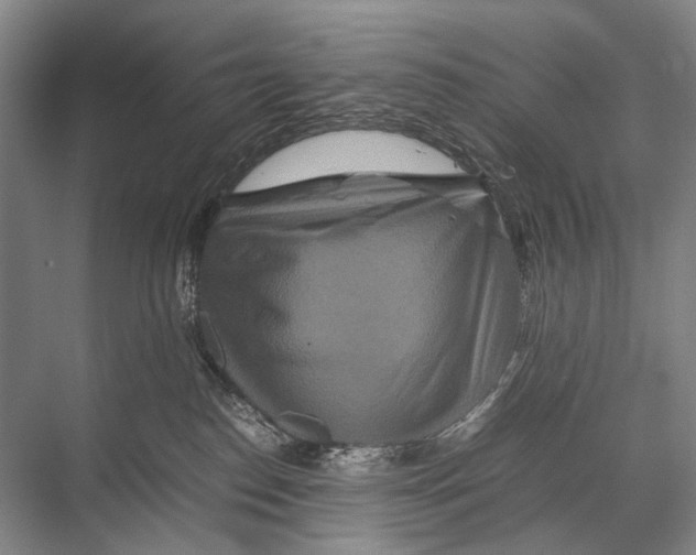 X0000067850186200605041725