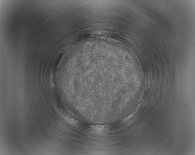 X0000067850187200605041725