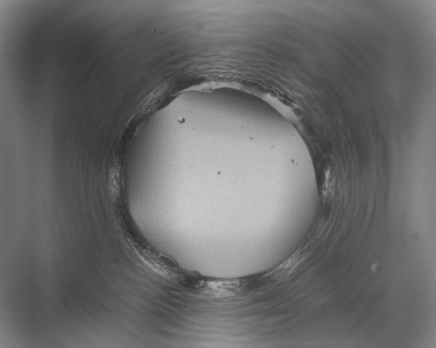 X0000067850188200605041725