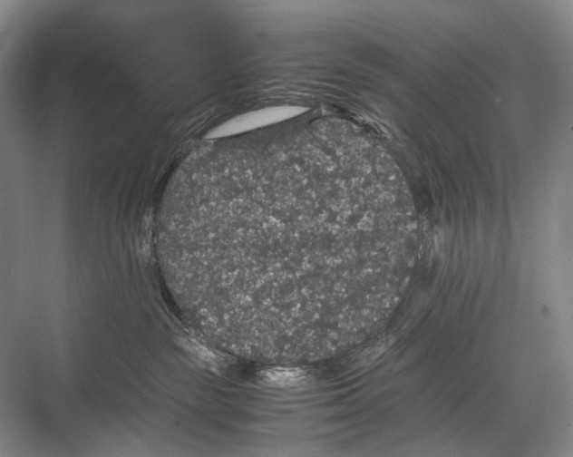 X0000067850189200605041725