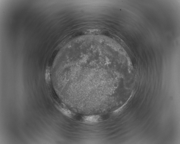 X0000067850191200605041725