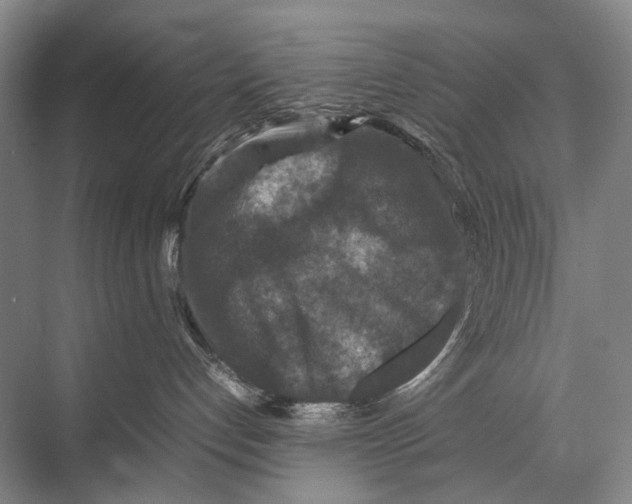 X0000067850192200605041725