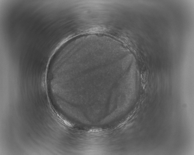 X0000067850196200605041724