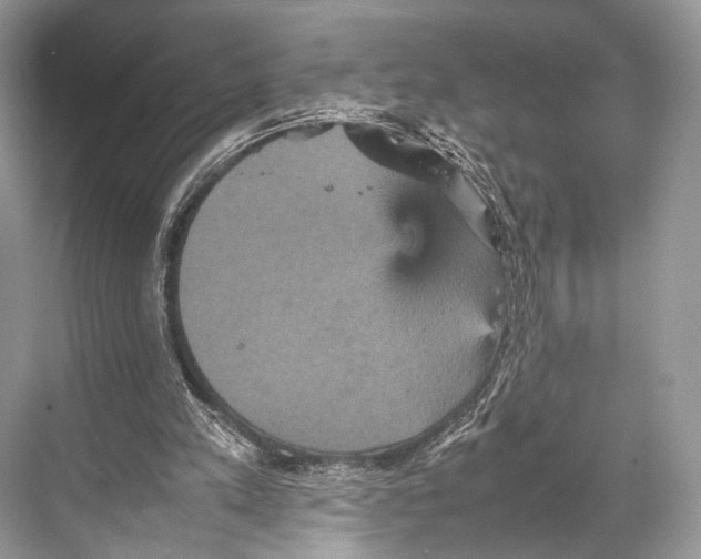 X0000067850197200605041724