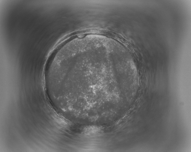 X0000067850198200605041724