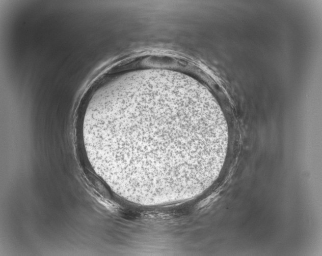 X0000067850199200605041724