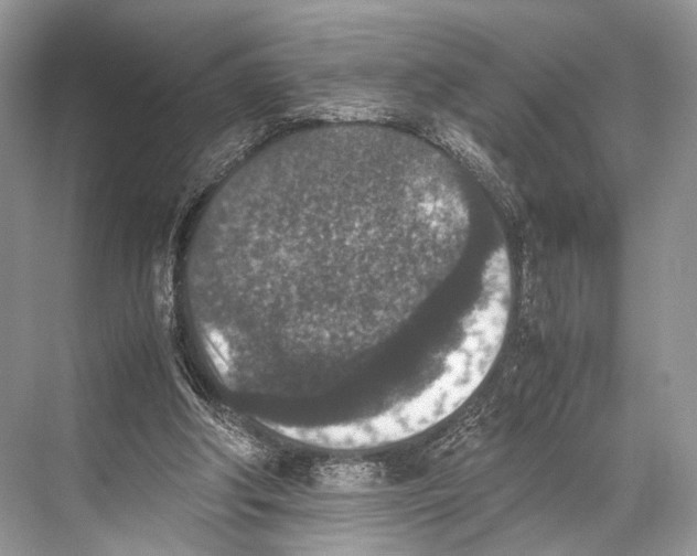 X0000067850202200605041724