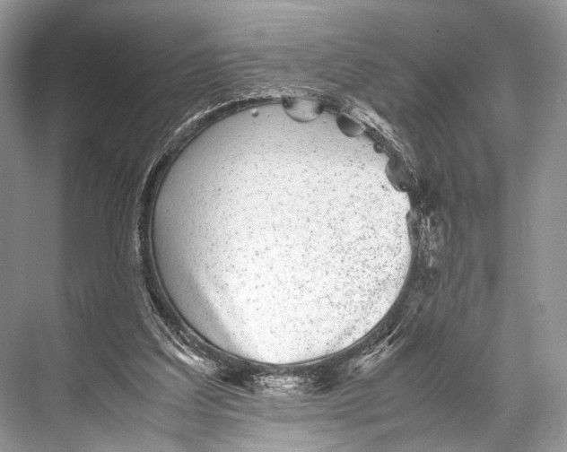 X0000067850203200605041724