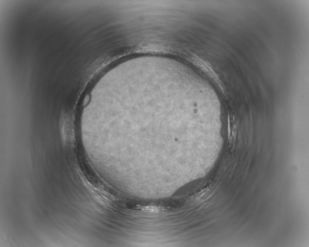 X0000067850204200605041724