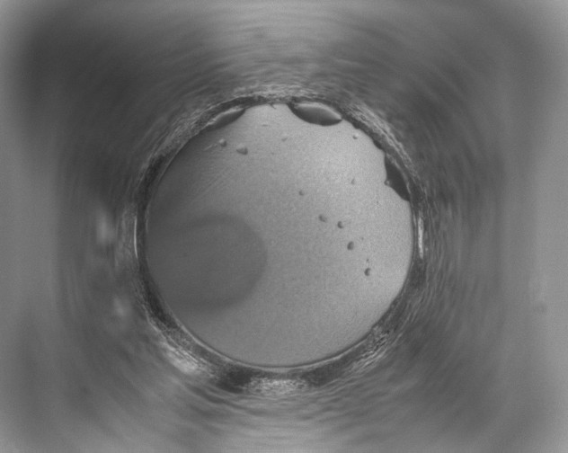 X0000067850205200605041724