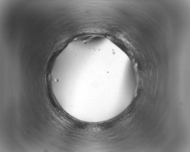 X0000067850207200605041724