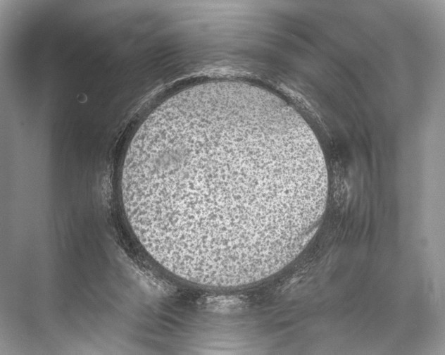 X0000067850208200605041724