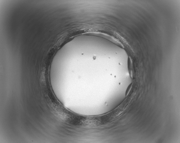 X0000067850209200605041724