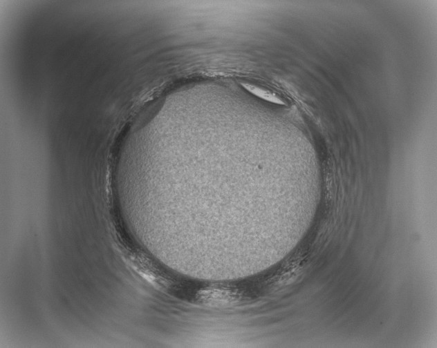 X0000067850211200605041724