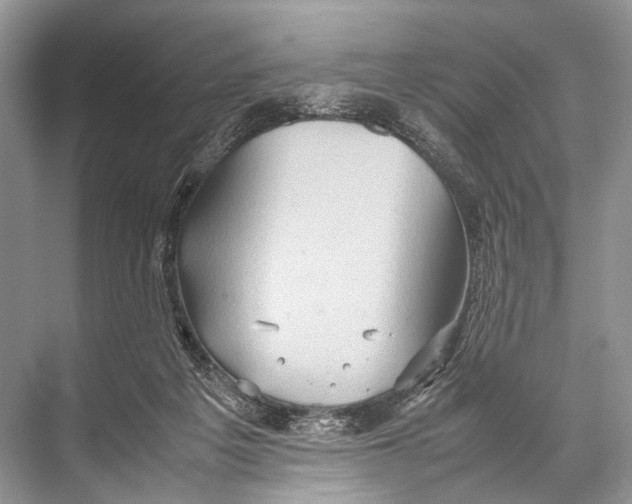 X0000067850217200605041724