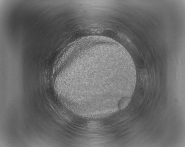 X0000067850218200605041724