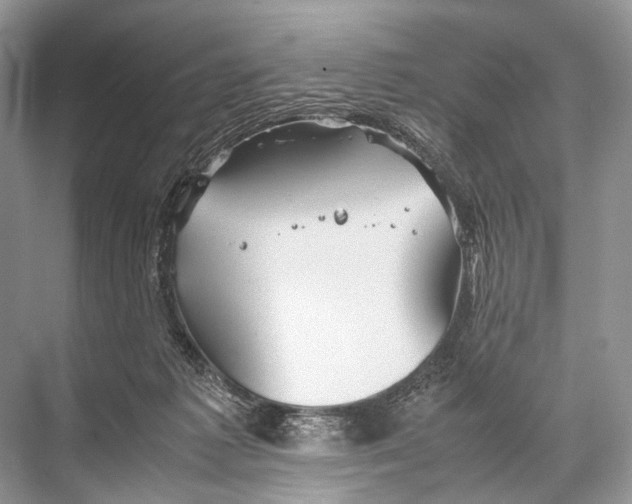 X0000067850221200605041724