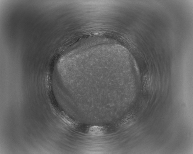 X0000067850222200605041724