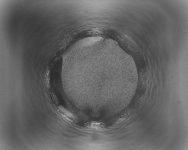 X0000067850223200605041724