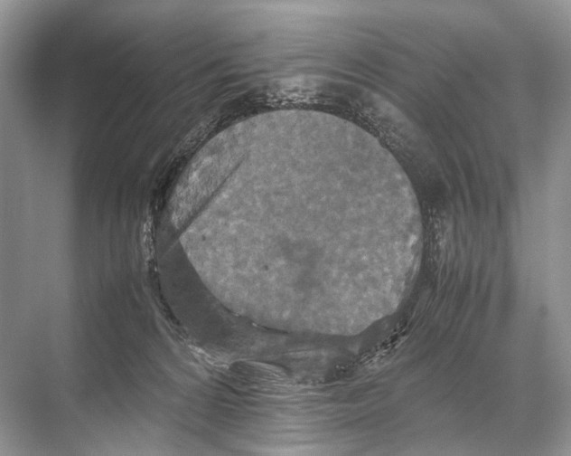 X0000067850224200605041724