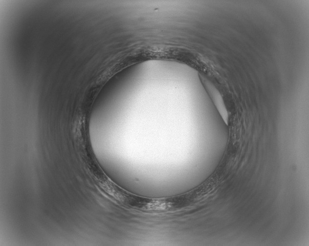 X0000067850225200605041724