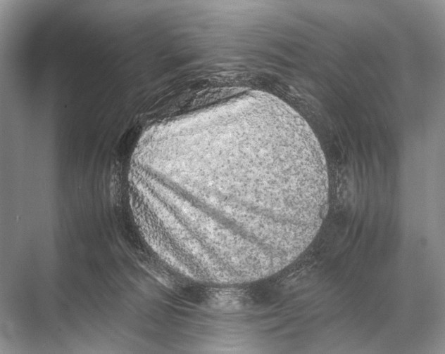 X0000067850226200605041724