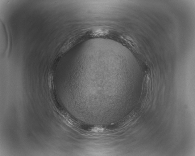 X0000067850227200605041724