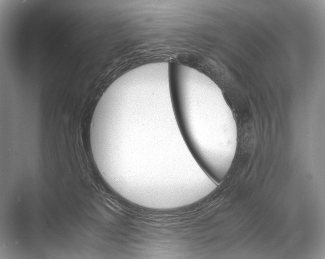 X0000067850229200605041723