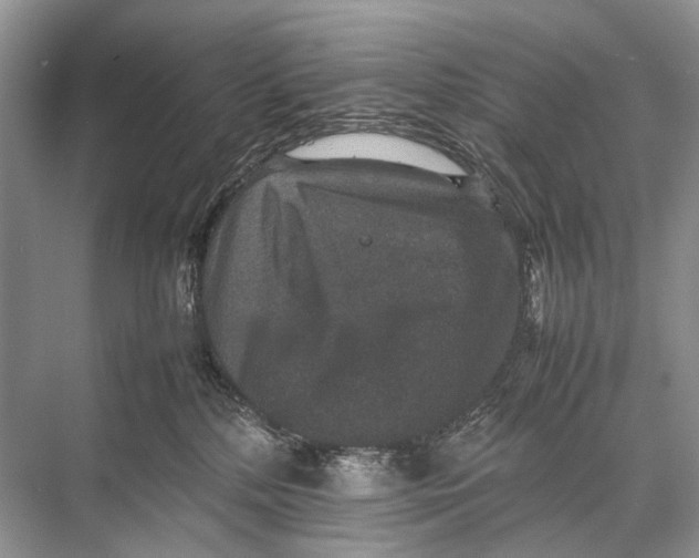 X0000067850232200605041723