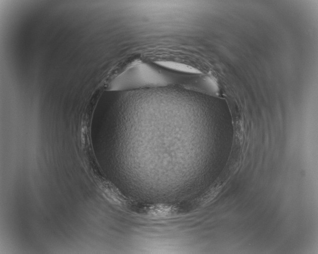 X0000067850235200605041723