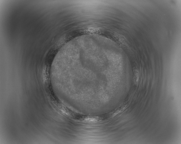 X0000067850236200605041723