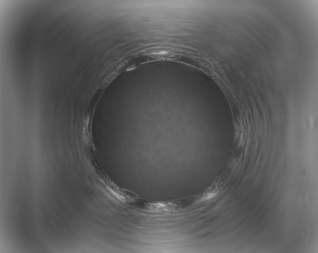 X0000067850239200605041723